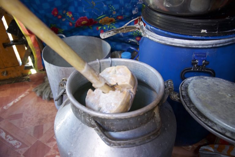 Mongolian airag - fermented mare's milk