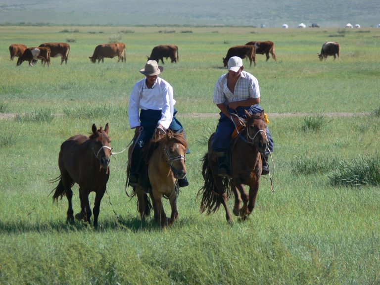 The land of horses and horsemanship in Mongolia