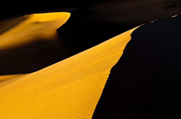 Khongoryn Els Sand Dunes Mongolia