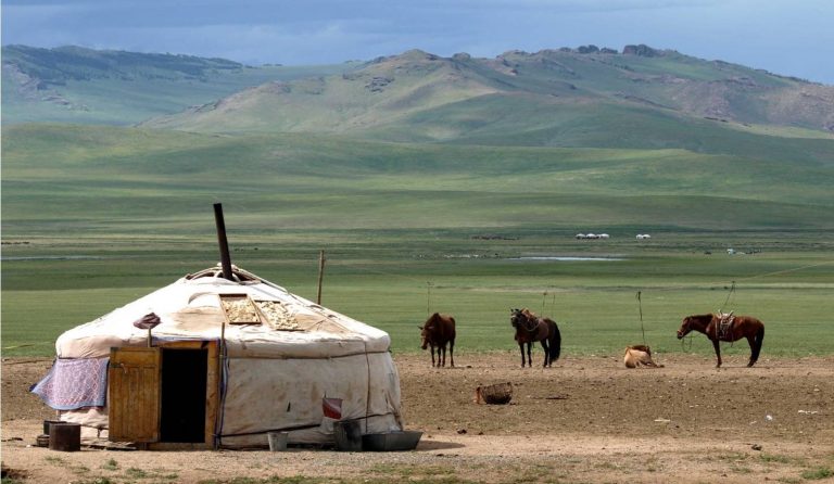 A typical Mongolian ger out on the Mongolian steppe. In this image you can see the families working horses waiting to be ridden as well as the hand-made dairy products drying in the sun