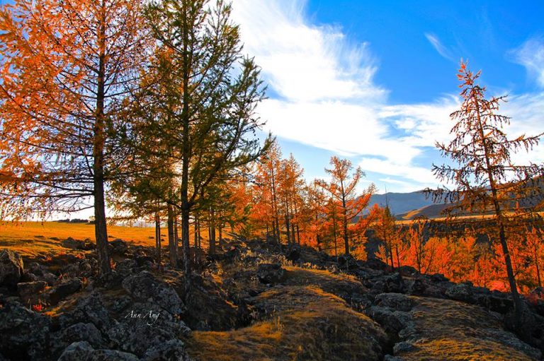 Autumn Colours - Orkhon River Valley - Mongolia