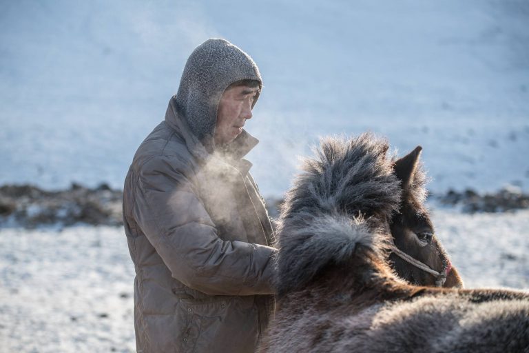 Bujee and Naraa of Gorkhi Terelj National Park are a great illustration into how Mongolian horse herders are adapting  - setting up micro businesses as a way of substituting their income.