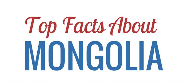 insert alt text here!