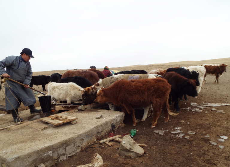 Screen Shot 2019-04-16 at 12.47