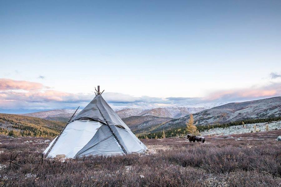 A home of Mongolia's reindeer herders