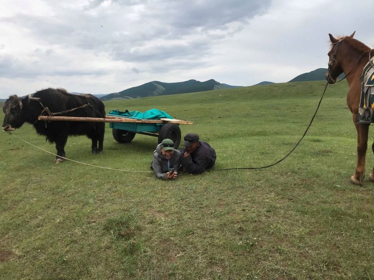 During a yak cart trek in Mongolia