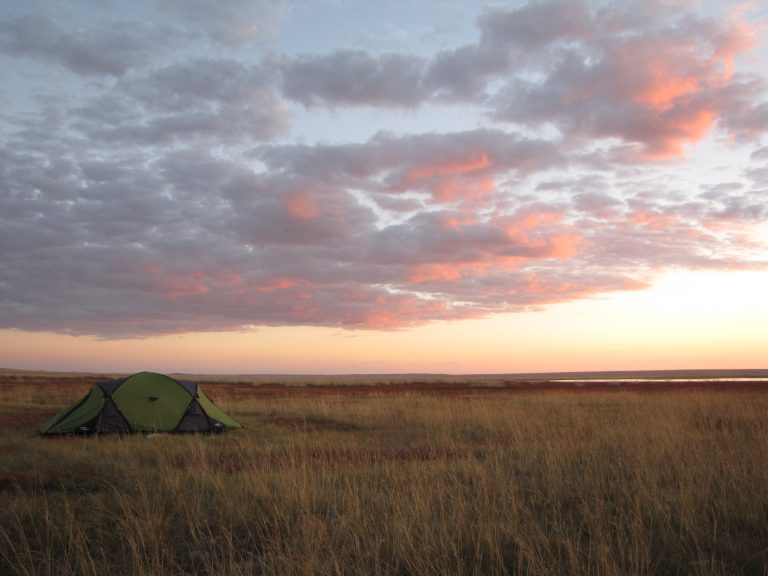 Wild camping in Mongolia