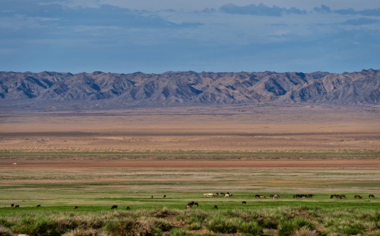 Green Gobi Desert