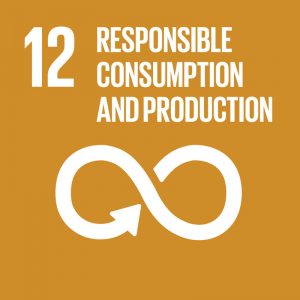 Measuring Our Impact - Responsible Consumption and Production - Sustainable Development Goal 12