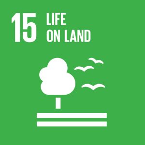 Measuring Our Impact - Life On Land - Sustainable Development Goal 15