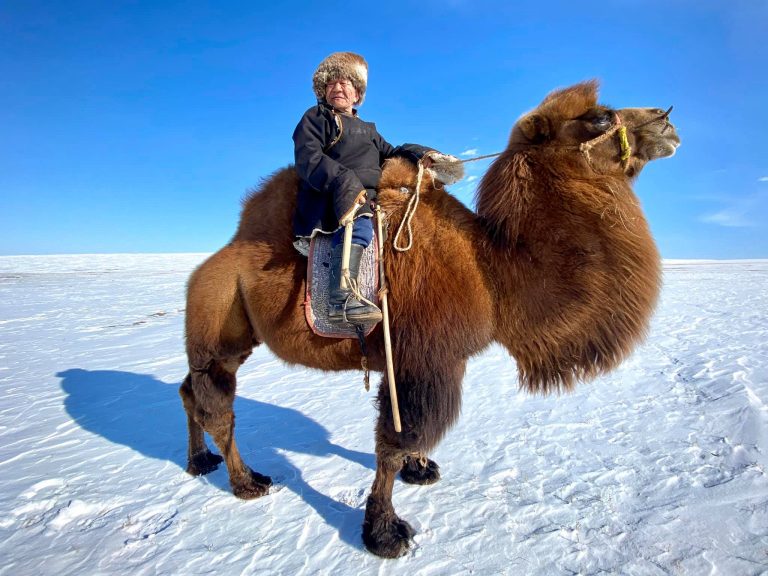 Thousand Camel Festival, winter camel trek