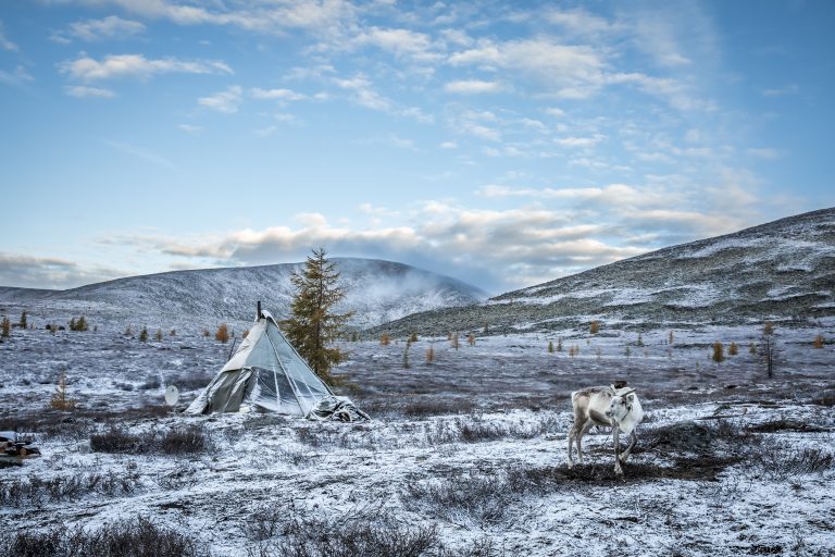Mongolian taiga landscape