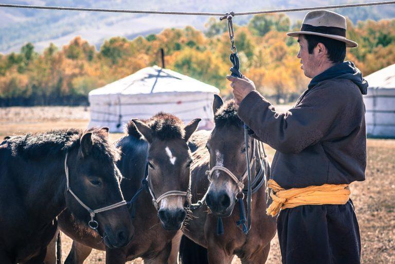 Herder at Gorkhi-Terelj National Park