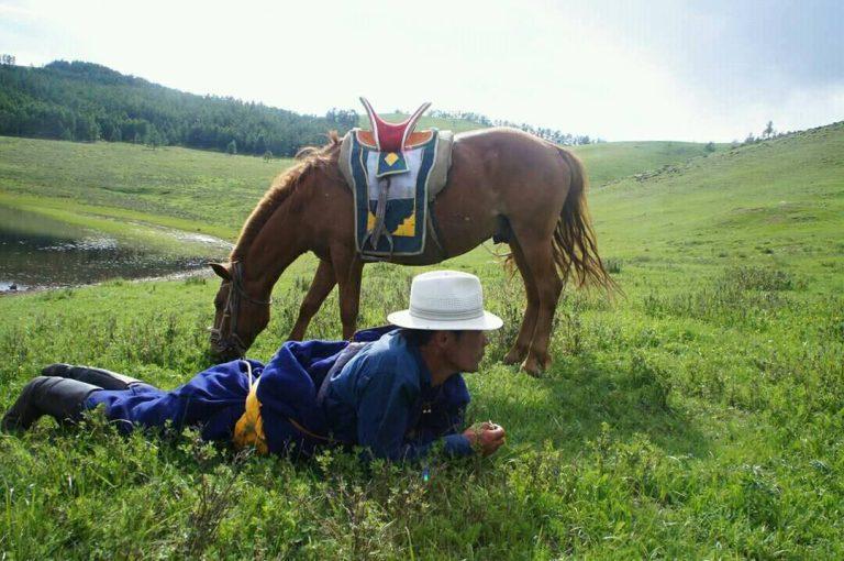 Mongolia horse herder