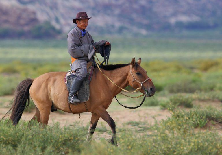 Horse herder Khögnö Khan Nature Reserve Mongolia