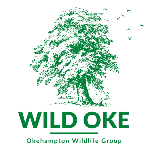 Wild Oke Nature club