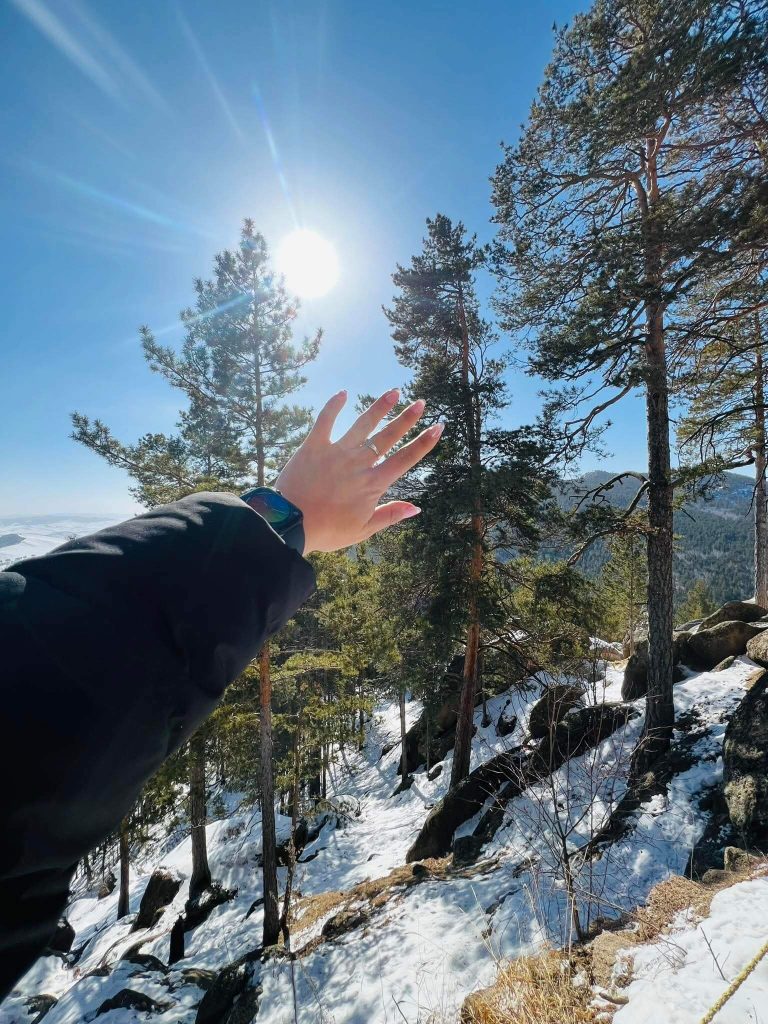 Sunlight through trees at Aglag Buteel Khiid Monastery