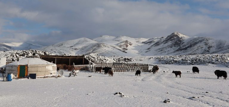 Katya spring | ger snow-2