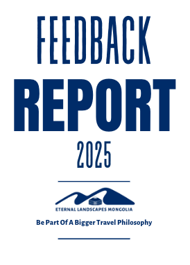 Feedback review 2025