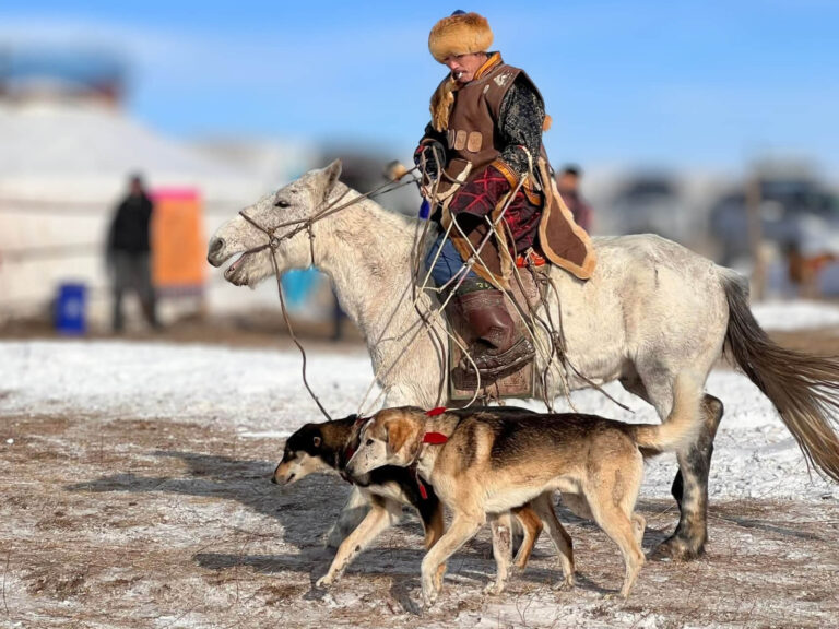 Winter horse festival 16