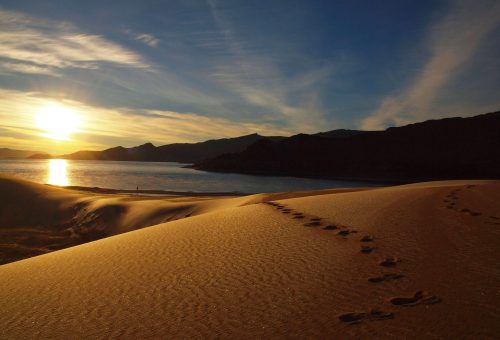 Khar Nuur, Mongolia - Discover our corporate travel and ESG experiences in Mongolia.